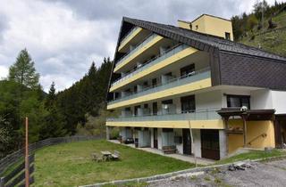Wohnung kaufen in 9861 Eisentratten, Eigentumswohnung im Biosphärenpark Nockberge Innerkrems