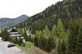 Wohnung kaufen in 9862 Kremsbrücke, Eigentumswohnung im Biosphärenpark Nockberge Innerkrems