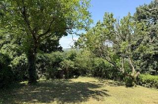  in 3400 Klosterneuburg, Wo Stadtmenschen Wurzeln schlagen - Gartenidylle zum Pachten!