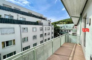 Wohnung mieten in 3002 Purkersdorf, Charmante 3 Zimmer Neubaumiete mit Balkon & Tiefgaragenplatz Nähe Hauptplatz