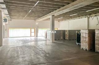 Büro zu mieten in 2325 Himberg, 220 m² Lager ebenerdig,