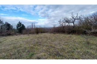 Grundstück zu kaufen in 2410 Hainburg an der Donau, 2410 Hainburg/Donau - Gartenliebhaber aufgepasst - Bauplatz mit angrenzendem Grünland