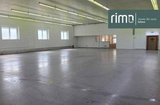Büro zu mieten in Friedhofstraße, 6845 Hohenems, Günstige Lager- & Büroflächen in Hohenems von 28 - 700 m²