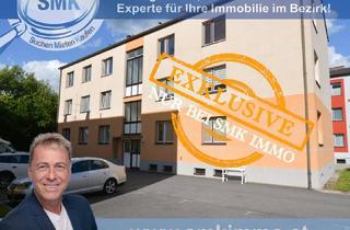 Wohnung kaufen in 3860 Heidenreichstein, Süße kleine Eigentumswohnung in Heidenreichstein!