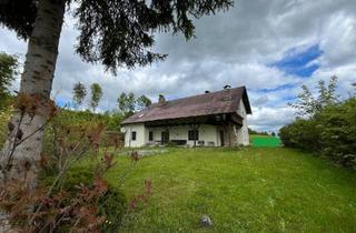 Einfamilienhaus kaufen in 3920 Etzen, Einfamilienhaus
