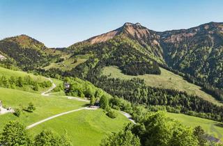 Grundstück zu kaufen in 5425 Krispl, Baugrund in der wunderschönen Gaißau