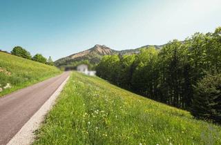Grundstück zu kaufen in 5425 Krispl, Baugrund in der wunderschönen Gaißau