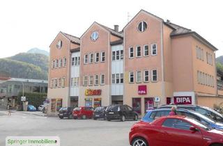 Wohnung kaufen in 5400 Hallein, Wohnen am Park! leistbare 3-Zimmer-Wohnung