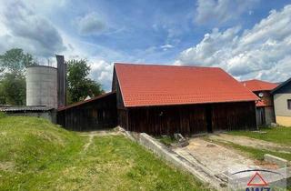 Gewerbeimmobilie kaufen in 3900 Schwarzenau, Vierkanthof mit zwei Wohneinheiten! Ideal für Pferdehaltung!
