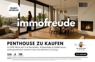Penthouse kaufen in Breitenfurter Straße 424, 1230 Wien, 4 Zi-Neubau- Etagen-PENTHOUSE mit 3m Raumhöhe, Klimaanlage, Kamin,Süd-Dachterrasse,2 Bäder, 2 WCs und Garagenstellplatz zu kaufen!