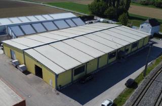 Lager kaufen in 3100 Sankt Pölten, Gewerbeobjekt mit Potenzial - Halle, Büro und Verkaufsfläche nahe A1 in St. Pölten-Schwadorf