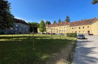 Wohnung kaufen in 3160 Traisen, Großzügige 6-Zimmer-Wohnung mit 159 m² in Traisen – Viel Platz, kleines Budget – Ihr handwerkliches Geschick ist gefragt!