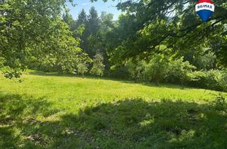 Grundstück zu kaufen in 4083 Haibach ob der Donau, Grünland- und Waldgrundstück in Haibach ob der Donau
