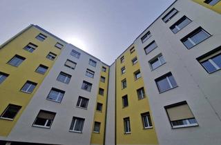 Wohnung kaufen in 2103 Langenzersdorf, SELTENE GELEGENHEIT AUF EINE EIGENTUMSWOHNUNG MIT 2 LOGGIEN IN RUHIGER WOHNLAGE IM HERZEN VON LANGENZERSDORF