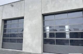 Büro zu mieten in 2482 Münchendorf, Moderne Lager-/Produktionshallen in Münchendorf