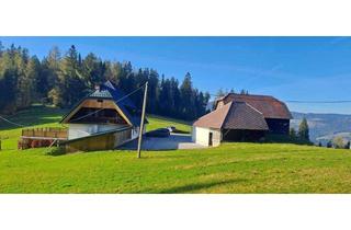 Haus kaufen in 8584 Hirschegg, RÜCKZUGSORT AUF 1200 M SEEHÖHE- NATURIDYLLE MIT WEITBLICK UND VIEL PLATZ FÜR IHRE IDEEN!