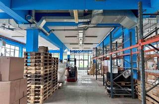 Büro zu mieten in 5161 Elixhausen, Attraktives (Gewerbe-)Lager mit Lastenlift, Büro und Parkplätze (EG, 513qm)