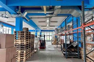 Büro zu mieten in 5161 Elixhausen, Attraktives (Gewerbe-)Lager mit Lastenlift, Büro und Parkplätze (EG, 513qm)