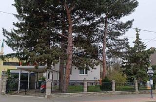 Grundstück zu kaufen in Am Bruckhaufen, 1210 Wien, Grundstück mit Bastlerhaus