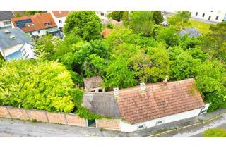 Haus kaufen in 2243 Matzen, HANDWERKER GESUCHT - DORNRÖSCHEN-HAUS IN MATZEN