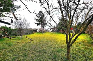 Grundstück zu kaufen in 2283 Obersiebenbrunn, Stadtgrenze Wien, nicht aufgeschlossenes Grundstück,Nähe Gänserndorf