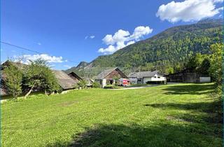 Grundstück zu kaufen in 9772 Dellach, über 2.000 m² großes Grundstück mit Altbestand