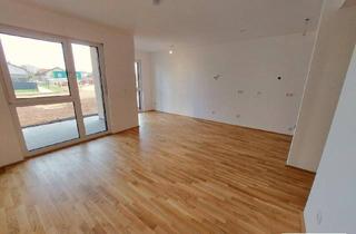 Wohnung kaufen in Felix Iribauer-Straße, 3200 Ober-Grafendorf, ***EINZIEHEN UND WOHLFÜHLEN: leistbare 4-Zimmer-Wohnung mit Garten - Wohnpark Ober-Grafendorf - ökologisch, hochmodern, ausgezeichnet ***