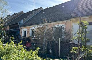 Haus kaufen in 2144 Altlichtenwarth, Landhaus im Weinviertel