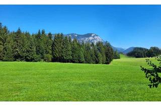 Grundstück zu kaufen in 6334 Schwoich, Grundstück mit Haus "Wohnen wie auf der Alm" für Erwerb keine landwirtschaftliche Ausbildung nötig