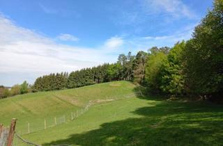 Grundstück zu kaufen in 5231 Schalchen, Hirschgehege - eingebettet in wunderschöner ruhiger Aussichtslage !