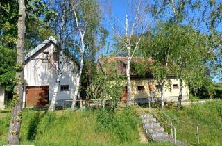 Gewerbeimmobilie kaufen in 2054 Auggenthal, 2 Presshäuser in traumhafter Lage in der idyllischen Kellertrift in Auggenthal