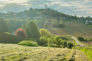 Grundstück zu kaufen in 8345 Straden, 2 ERSCHLOSSSENE BAUGRÜNDE MIT OBSTBAUM-BESTAND UND WEINREBEN IM VULKANLAND DER SÜDOSTSTEIERMARK