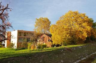 Wohnung mieten in 6837 Weiler, Dachgeschosswohnung mit Weitblick in Weiler