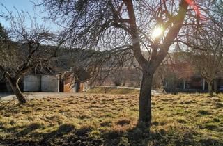 Grundstück zu kaufen in 8323 Sankt Marein bei Graz-Umgebung, Grundstück in idyllischer Ruhelage ( St. Marein bei Graz) – 1 Hektar mit Baugrund & Wirtschaftsgebäude