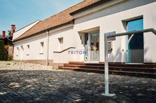 Einfamilienhaus kaufen in 2751 Steinabrückl, Vielseitige Immobilie mit Potenzial in Top-Lage