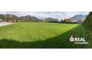 Grundstück zu kaufen in 4591 Molln, Sie gehen aufs Ganze! Grundstück mit 4.639 m²