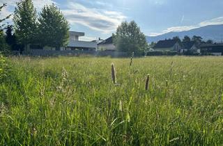 Grundstück zu kaufen in 6850 Dornbirn, Schönes Baugrundstück in Dornbirn Rohrbach/Forach (teilbar je 325 m2)