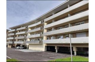 Wohnung mieten in Brucker Straße 23b, 8101 Kirchenviertel, Helle freundliche Single Wohnung in Gratkorn