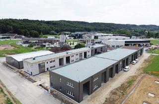 Büro zu mieten in 4844 Regau, START YOUR OWN BUSINESS! Gewerbehallen mit Flächen von 44 - 224 m² zu vermieten, 1A Standort ab Herbst 2025 im BUSINESS PARK REGAU (Top 05a)