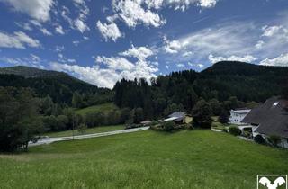 Grundstück zu kaufen in 9363 Metnitz, Baugrund in Metnitz