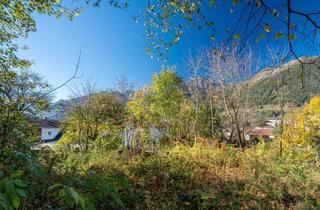 Grundstück zu kaufen in 6142 Mieders, Bauparzelle mit großem Freiland- bzw. Waldgrundstück