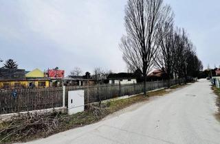 Grundstück zu kaufen in 2523 Tattendorf, Großes Grundstück mit vielen Möglichkeiten