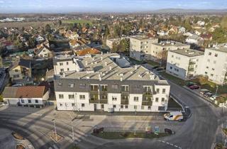 Wohnung mieten in 3423 Sankt Andrä vor dem Hagenthale, ++ ERSTBEZUG und NEUBAU ++ VIER Zimmer mit GARTEN