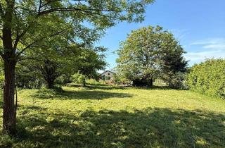 Grundstück zu kaufen in Strasserweg, 4073 Schönering, Baugrundstück mit 830 m² in Schönering sofort verfügbar OHNE BAUZWANG!