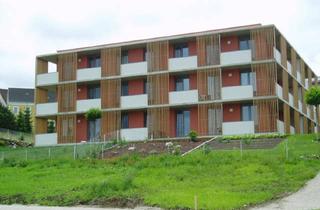 Wohnung mieten in Ellingbachstraße 2-8, 3362 Öhling, Öhling Ii, Geförderte Mietwohnung mit Kaufoption, h4/2.Og/top4-7, 1000/00009450/00001407