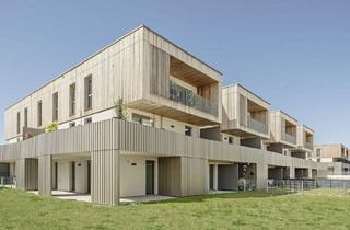 Wohnung mieten in Ybbser Straße 8, 3250 Wieselburg, Wieselburg-Stadt I/1, Geförderte Mietwohnung, Stiege 3, Top 19, 1000/00011941/00001319