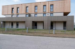 Wohnung mieten in Ybbser Straße 8, 3250 Wieselburg, WIESELBURG-STADT I/2, geförderte Mietwohnung mit Kaufoption, Stiege 2, Top 9, 1000/00011942/00001209