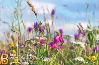 Grundstück zu kaufen in Weingartenweg, 7072 Mörbisch am See, Landwirtschaftlich genutzte Grünflächen in Mörbisch, zB.Wiese mit Blick über den ganzen See