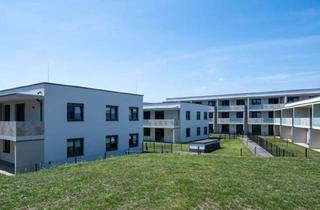 Wohnung mieten in Pottendorfer Straße 216, 2700 Wiener Neustadt, WIENER NEUSTADT XI/1, freifinanzierte Mietwohnung mit Kaufoption, EG, Top 114, 1000/00011961/00001114