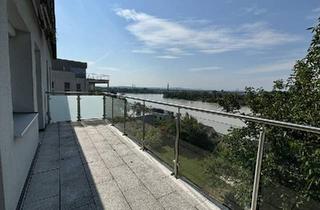 Wohnung kaufen in 4310 Mauthausen, Wohnfläche auf Hausniveau - Riesige Eigentumswohnung mit fantastischem Donaublick